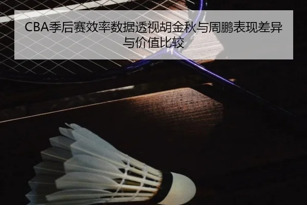 CBA季后赛效率数据透视胡金秋与周鹏表现差异与价值比较