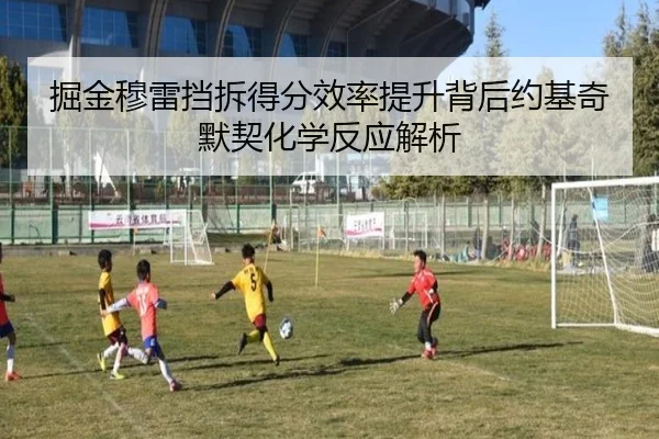 掘金穆雷挡拆得分效率提升背后约基奇默契化学反应解析