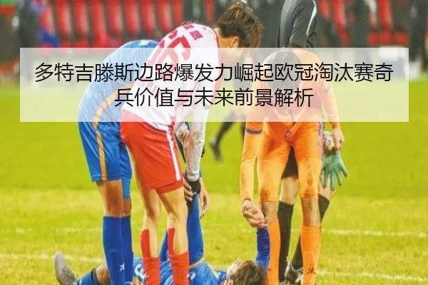 img_1783319342956_24_1_968.jpg
